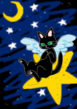 Night_cat_sippo.jpg